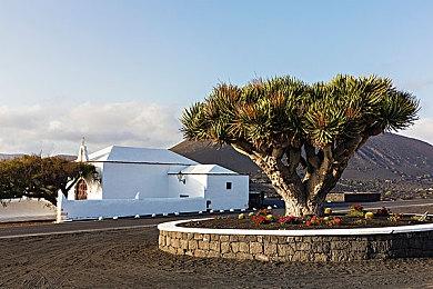 《小丑牌》现已加入移动端 售价9.99美元