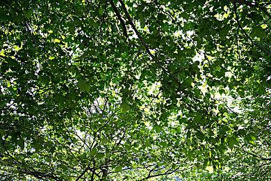 中世纪穿越风格射击游戏《Kingmakers》新预告片